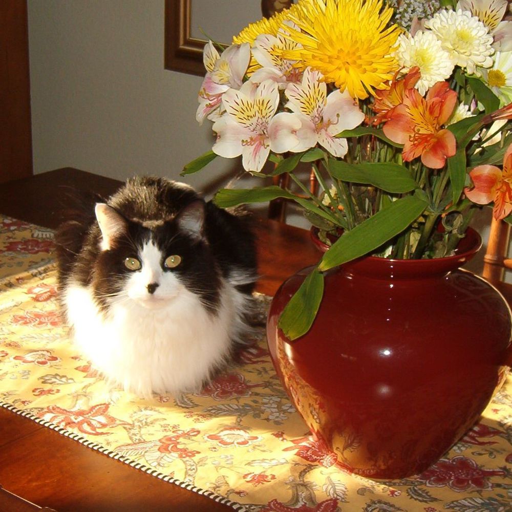 Meet your Posher, Barbara